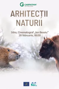 bilete-arhitectii-naturii-sibiu-B4L@2x