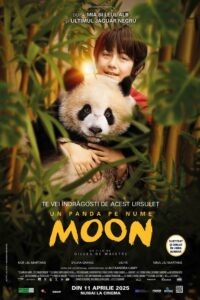 moon-the-panda-147223l-1600x1200-n-42610bfe